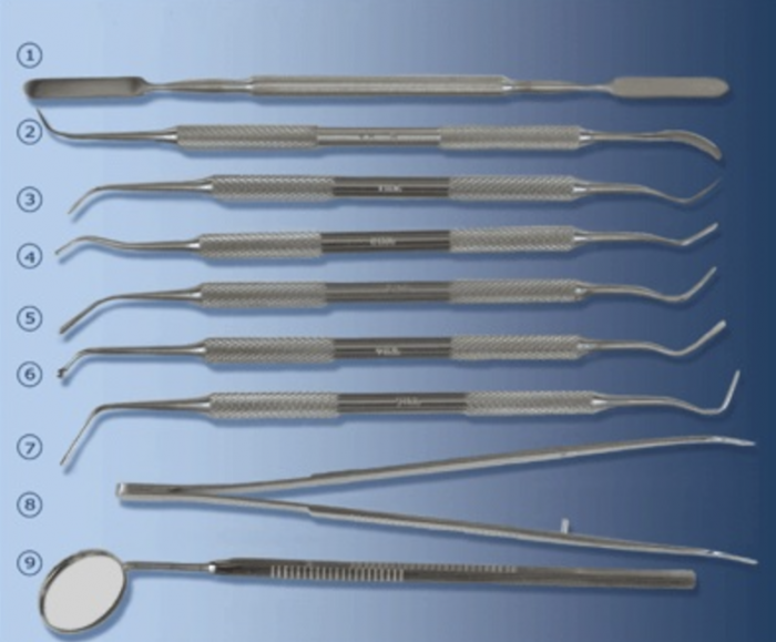 Набор инструментов для пломбирования зубов комплектация № 1 (9 инструментов), ММИЗ